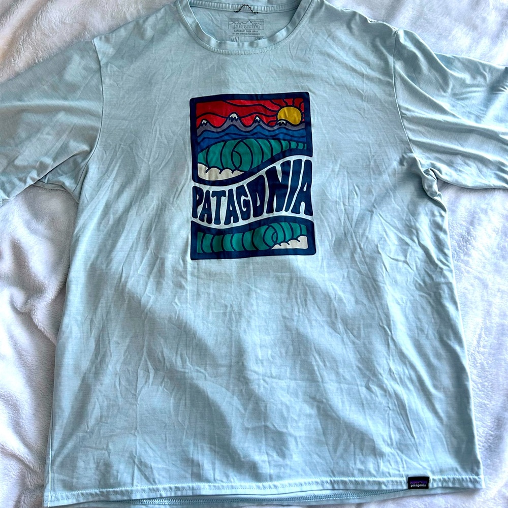 Patagonia men’s t shirt
